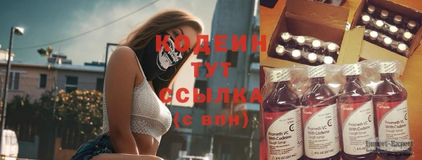 прущая мука Нея